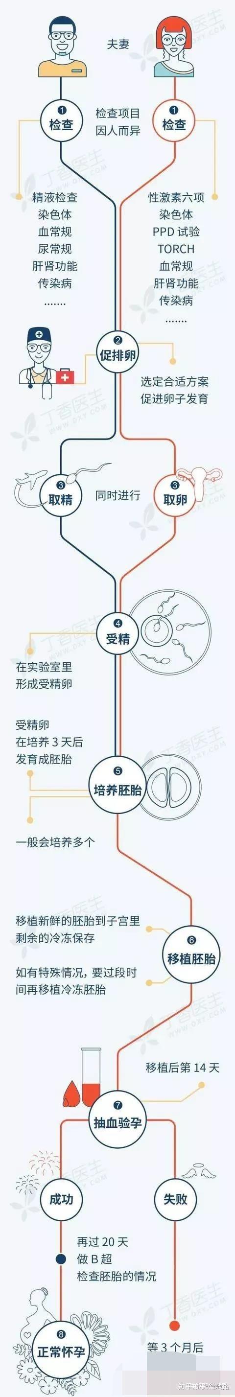 中国可不可以借卵生子【中国是否可以借卵生子?】
