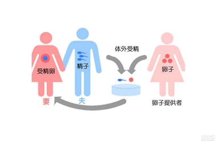 中国有靠谱做供卵的吗-中国靠谱供卵机构,你需要了解的一切