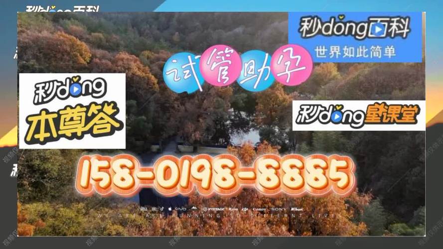 中国代理试管代怀机构(中国代理试管代怀机构：助您圆梦成家)