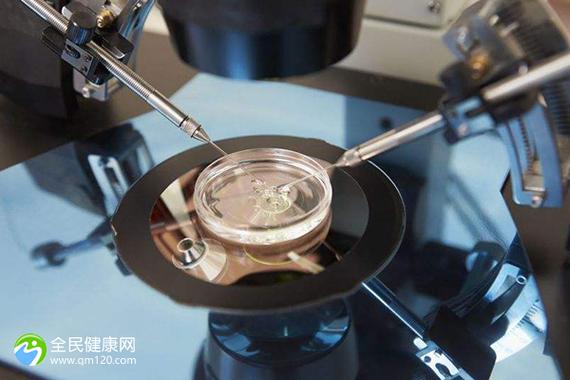 中国最好的试管代怀机构_中国顶级试管代怀机构推荐