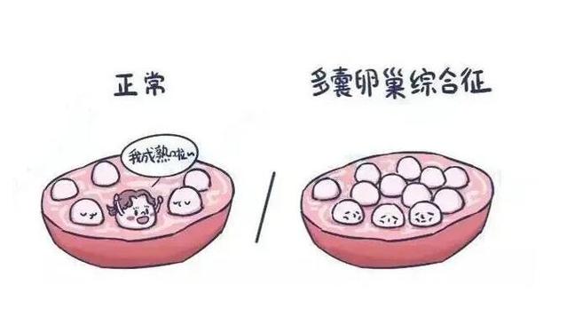 供卵在中国合法吗【中国是否允许供卵合法?】