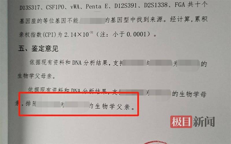 中国法律能试管代怀吗_中国法律对试管代怀孕的规定及法律责任