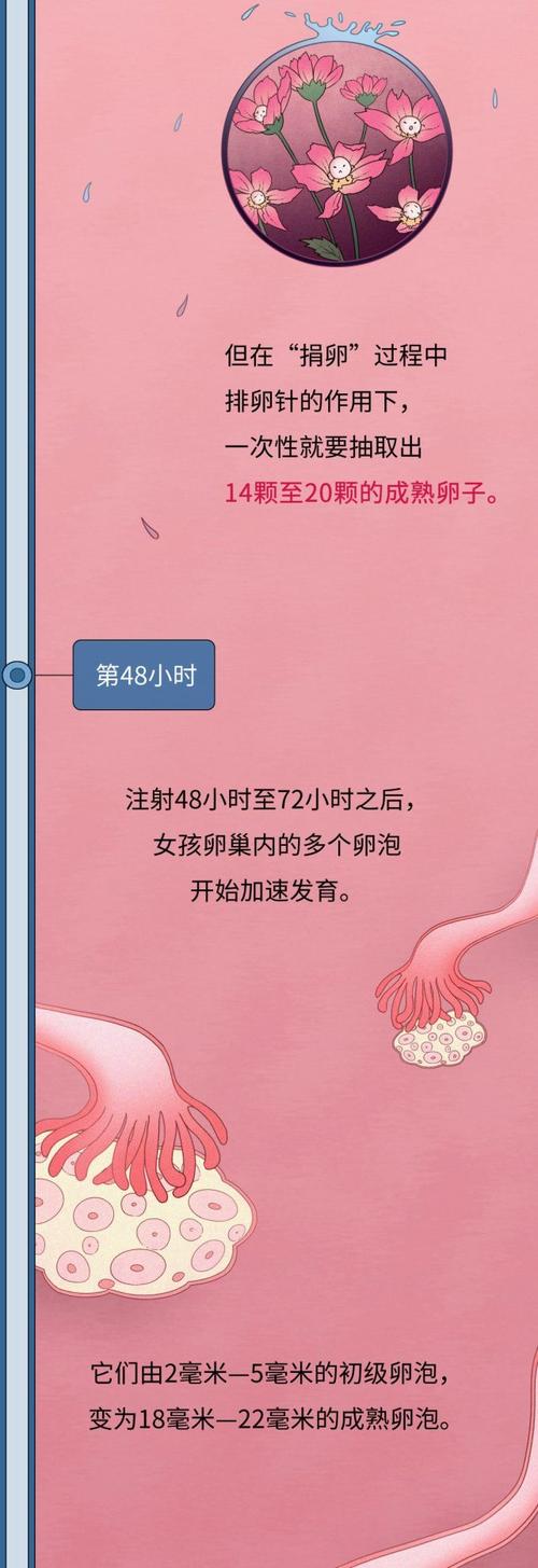 中国正规的供卵机构_中国正规供卵机构:助您圆母亲梦