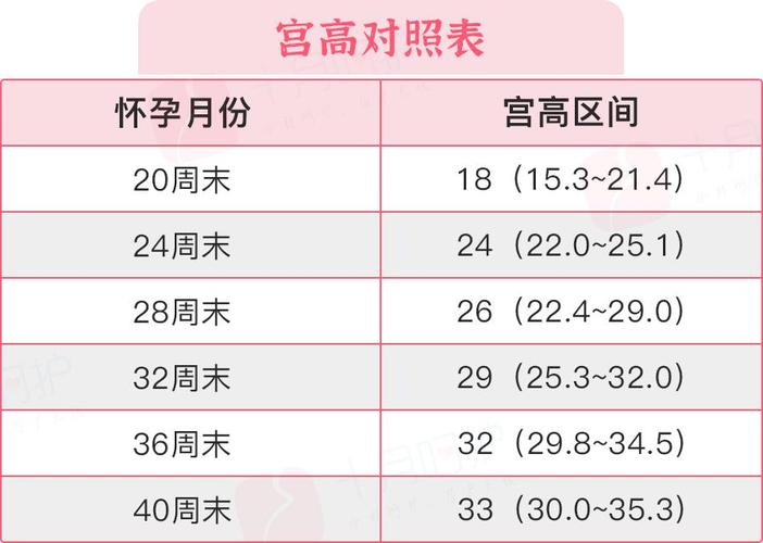 国内供卵试管代怀费用表-国内供卵试管代怀费用表解析