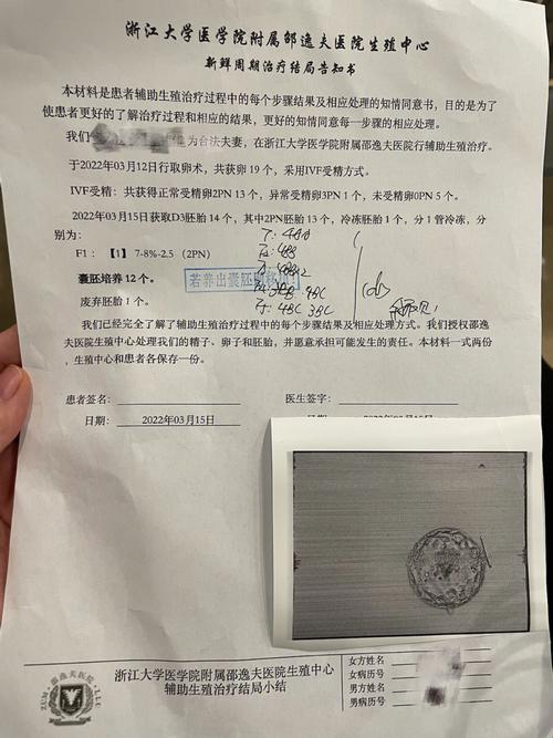 中国可以试管代怀_中国试管代怀:新生命的奇迹