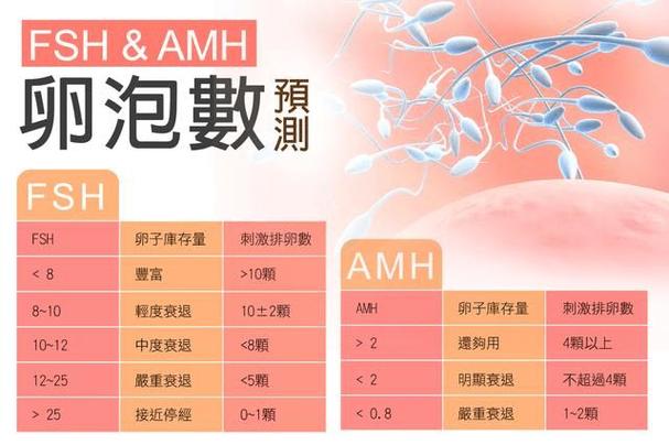 国内供卵试管代怀哪家好(国内供卵试管代怀哪家好?选择最佳试管代孕机构攻略)