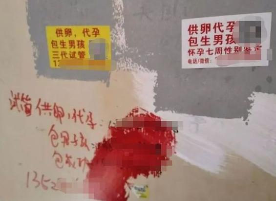 正规供卵机构包生男孩_正规供卵机构:包生男孩服务详解