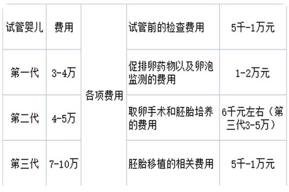 中国试管代怀要多少费用(中国试管代怀费用咨询及解析)