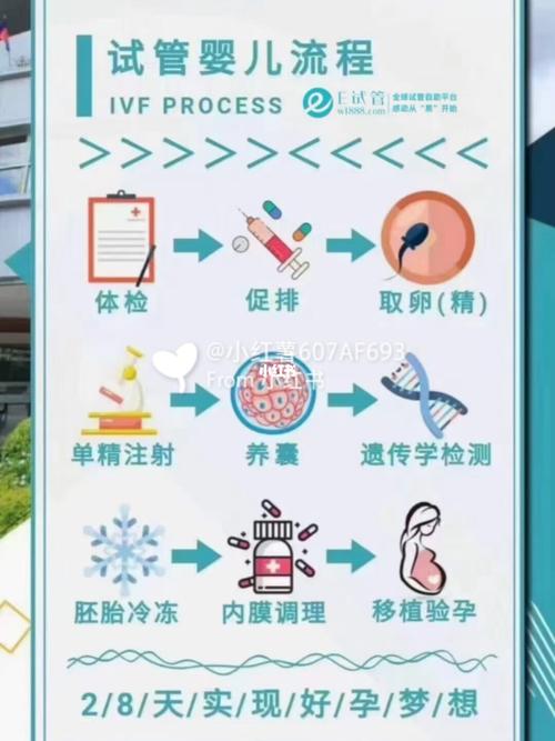 中国最大试管代怀网【中国最大试管代怀网:助您圆梦成家】